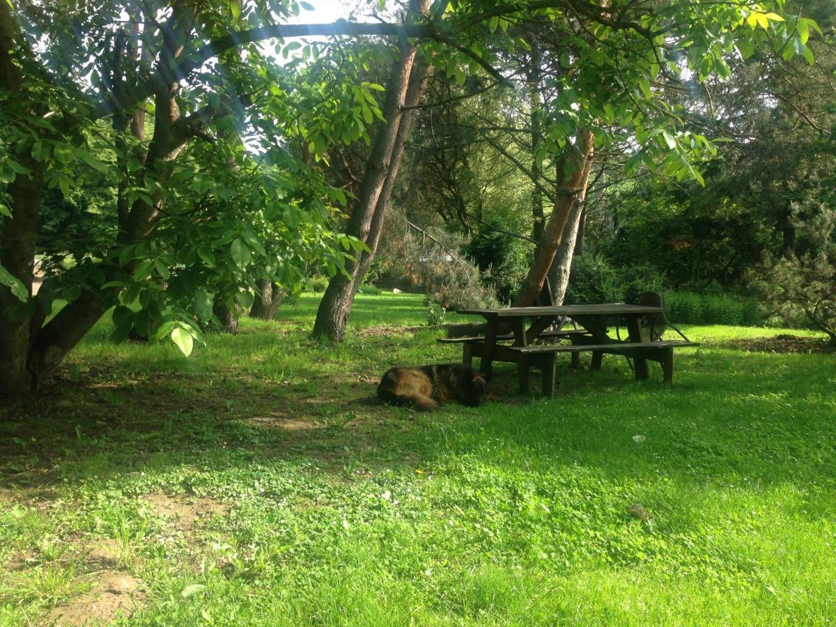Ekoturystyka Nowina Nowina (Warmian-Masurian) Exterior foto