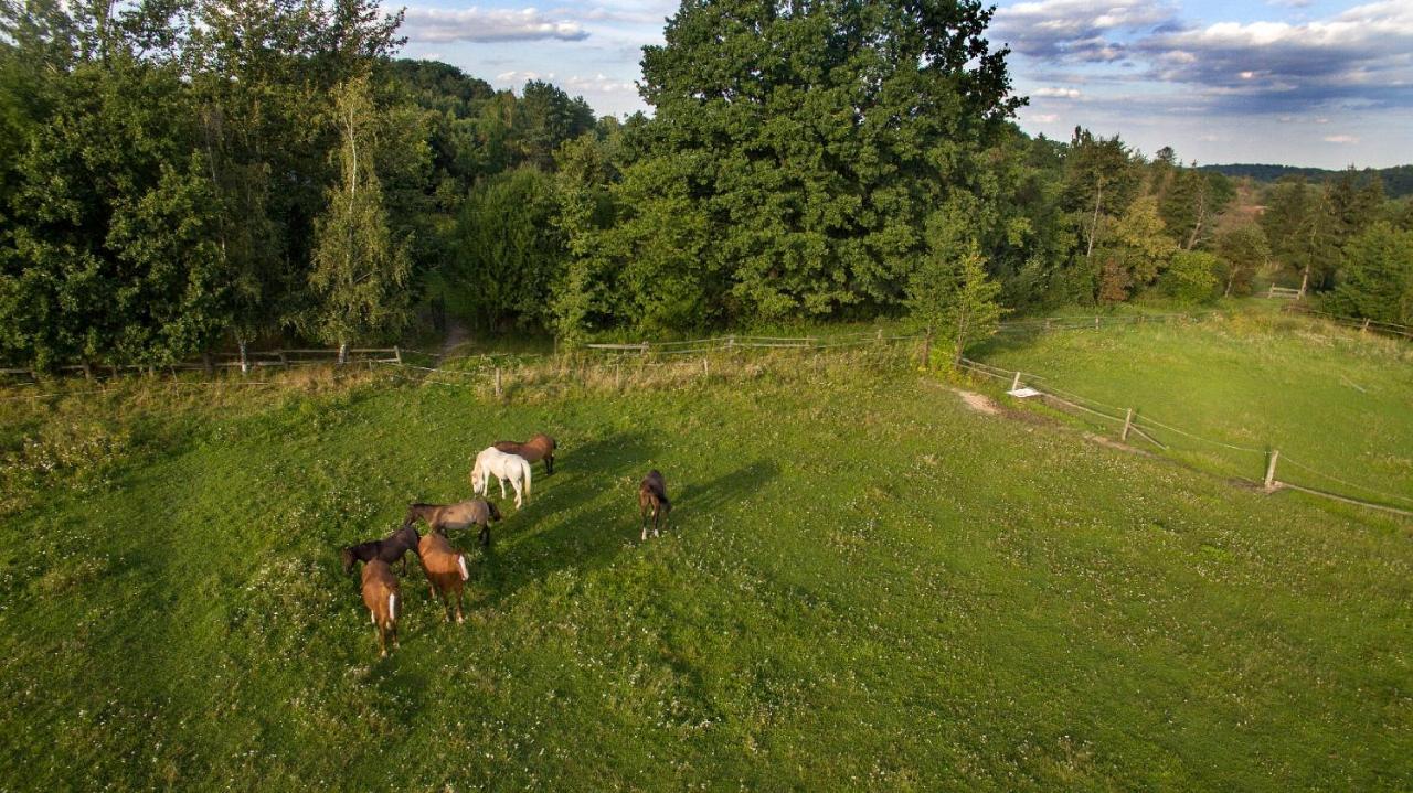 Ekoturystyka Nowina Nowina (Warmian-Masurian) Exterior foto