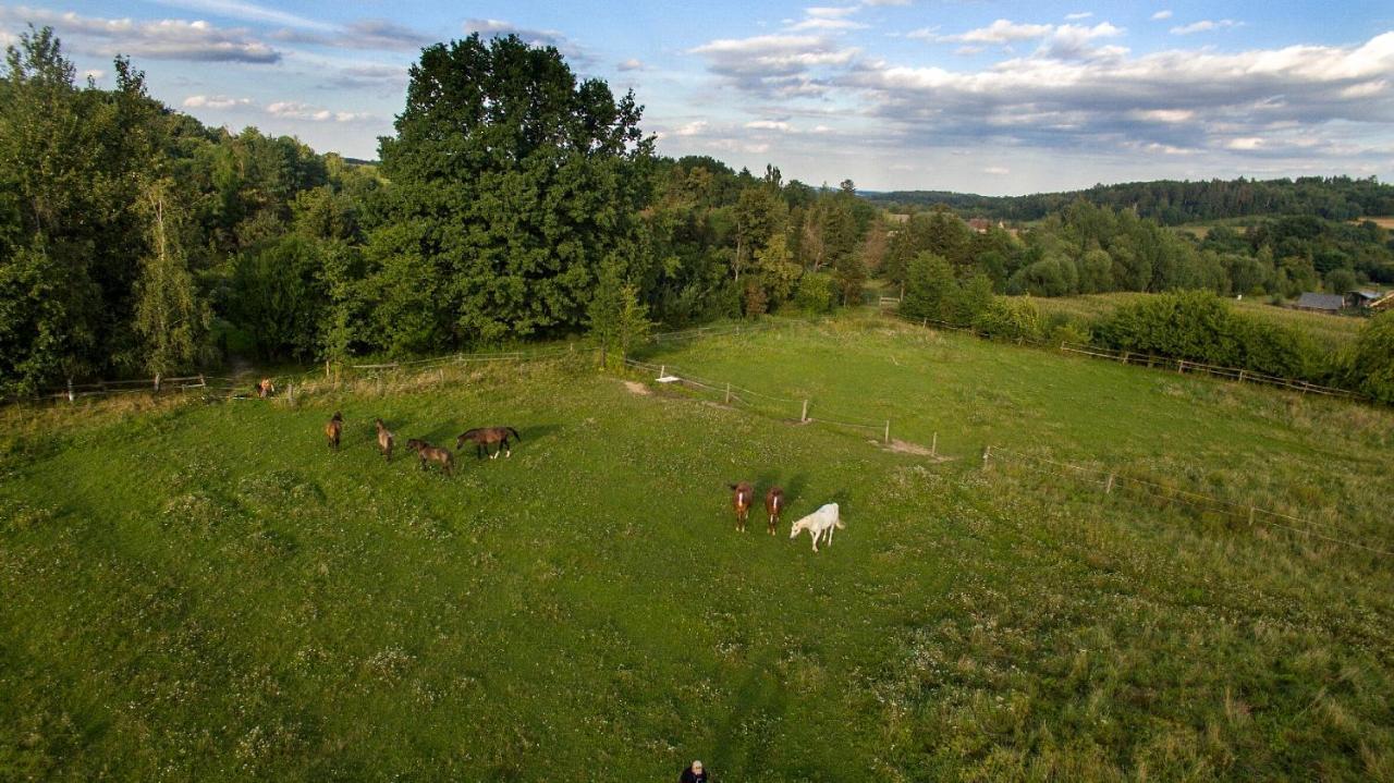 Ekoturystyka Nowina Nowina (Warmian-Masurian) Exterior foto